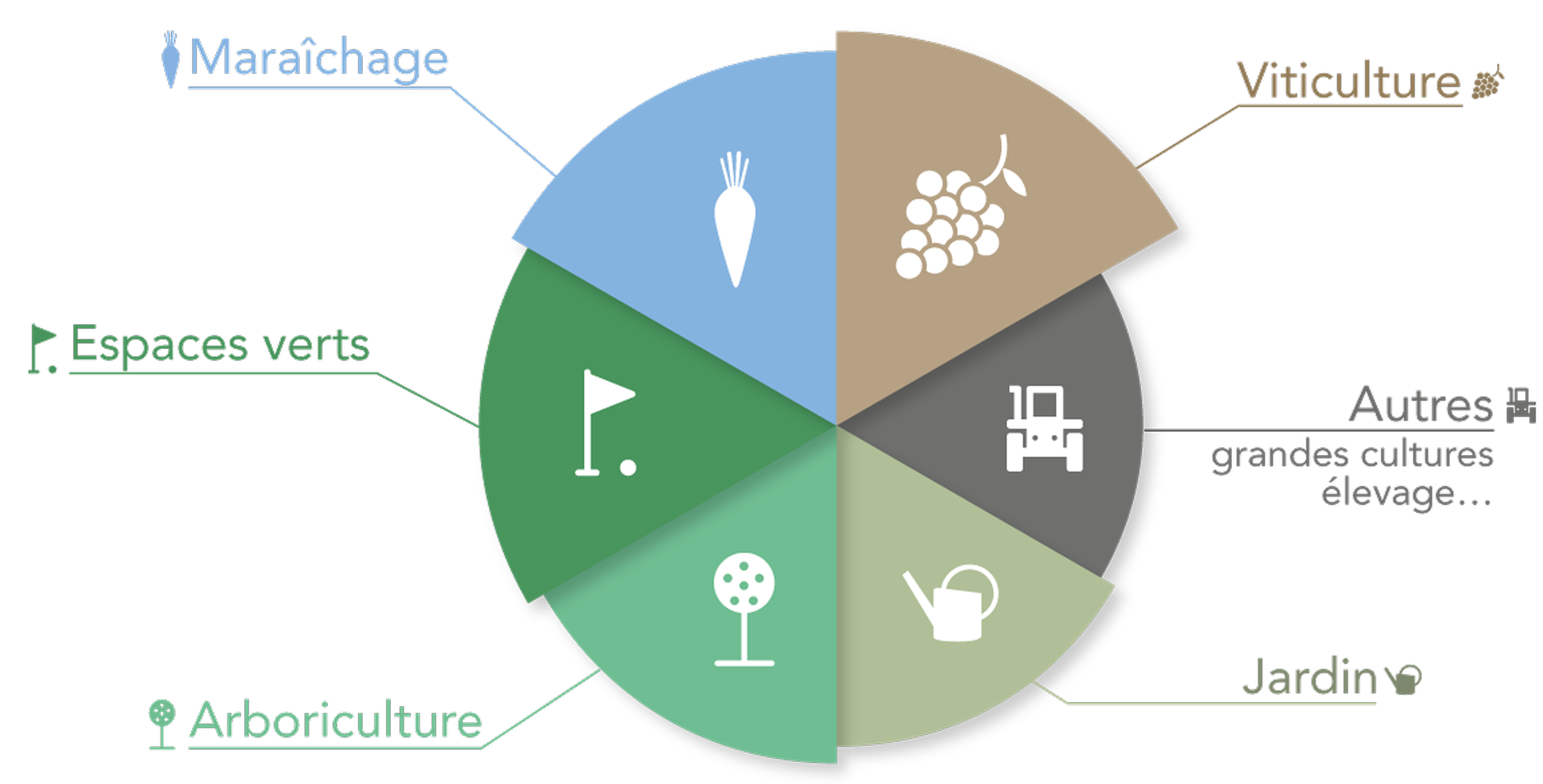 Graphique présentant les différents marchés de Frayssinet : maraîchage, viticulture, espaces verts, arboriculture, jardin et autres