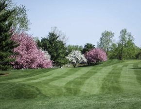 Fertilisants, engrais et stimulateurs racinaires Frayssinet pour gazons