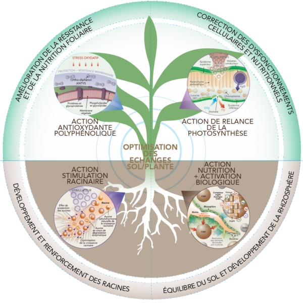 Programme nutrition et stimulation Frayssinet