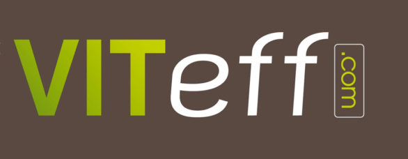 Logo VITEFF