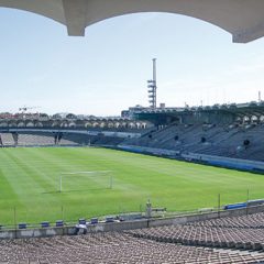 Stade Chabal Delmas de Bordeau fertilisation Frayssinet