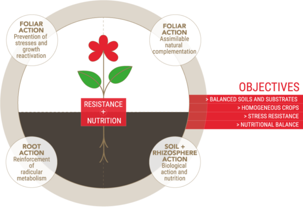 NSP - Flowering: Optimal flowering objectives