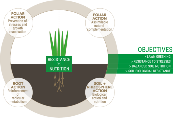 NSP - Ornamental lawns and turfgrass: aesthetic criteria are important