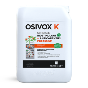 OSIVOX K