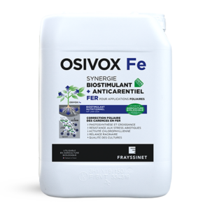 OSIVOX FE