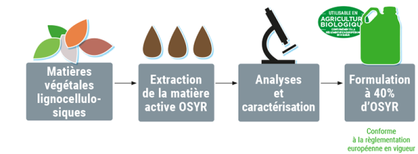 Schéma de l'extraction de la matière active OSYR. Celle-ci est un réel plus pour les biostimulants nutritionnels Frayssinet.