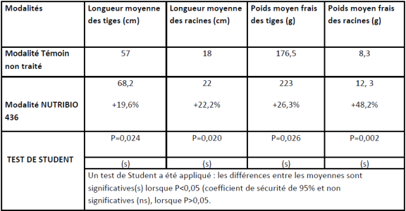 Tableau regroupant les résultats d'essais de NUTRIBIO 4.3.6 sur des plants d'agrume. Les résultats sont révélateurs de l'intérêt d'utiliser le biostimulant nutritionnel NPK. Effectivement, la longueur moyenne des tiges, la longueur moyenne des racines, le poids moyen frais des tiges et le poids moyen frais des racines sont plus conséquents lorsque le produit Frayssinet est utilisé, on remarque au minimum +19,6%