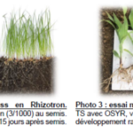 Résultats d'essais GC 1