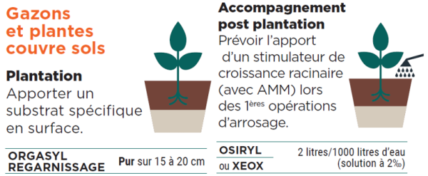 Schéma comportant des astuces pour la plantation et l'accompagnement post plantation de gazons et plantes couvre sols. 3 solutions sont proposées, l'utilisation de substrat spécifique comme ORGASYL REGARNISSAGE ou de stimulateur de croissance racinaire avec AMM comme OSIRYL ou XEOX.