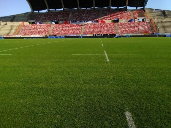 Morceau De Pelouse Du Stade De France – Coupe Du Monde 1998, Très Bon état