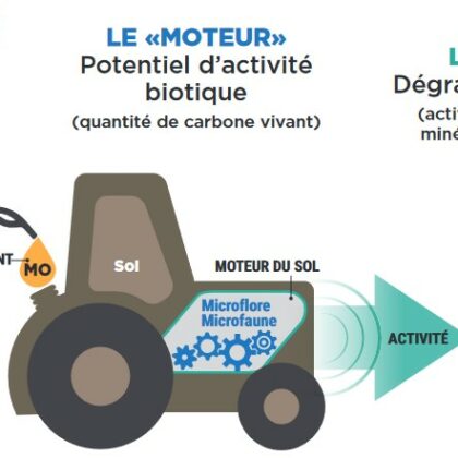 Comprendre et agir sur la fertilité du sol