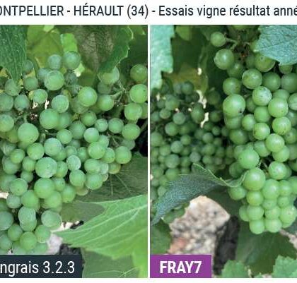 FRAY7 : les résultats d’essais