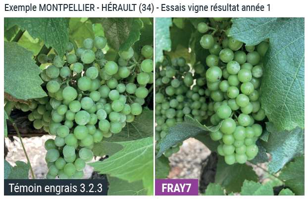 FRAY7 : les résultats d’essais