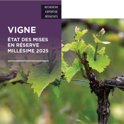 VIGNE – États des mises en réserve 2025