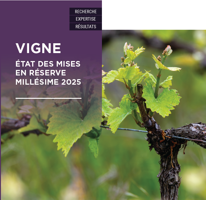 VIGNE – États des mises en réserve 2025