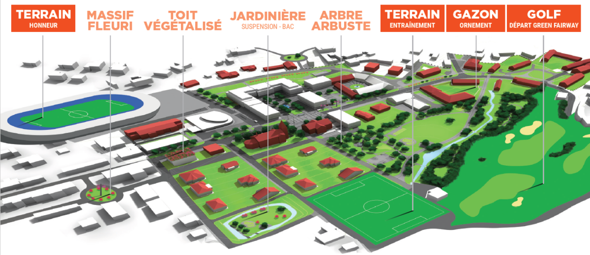 Terrains sportifs engazonnés