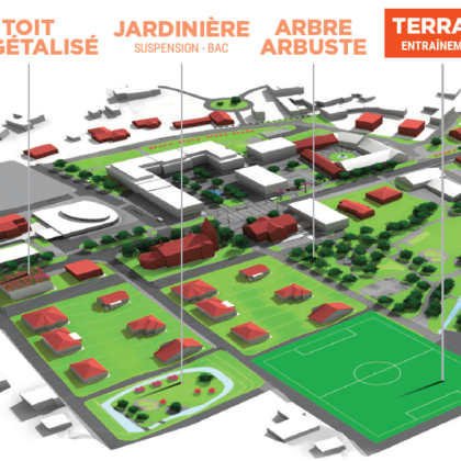 Terrains sportifs engazonnés