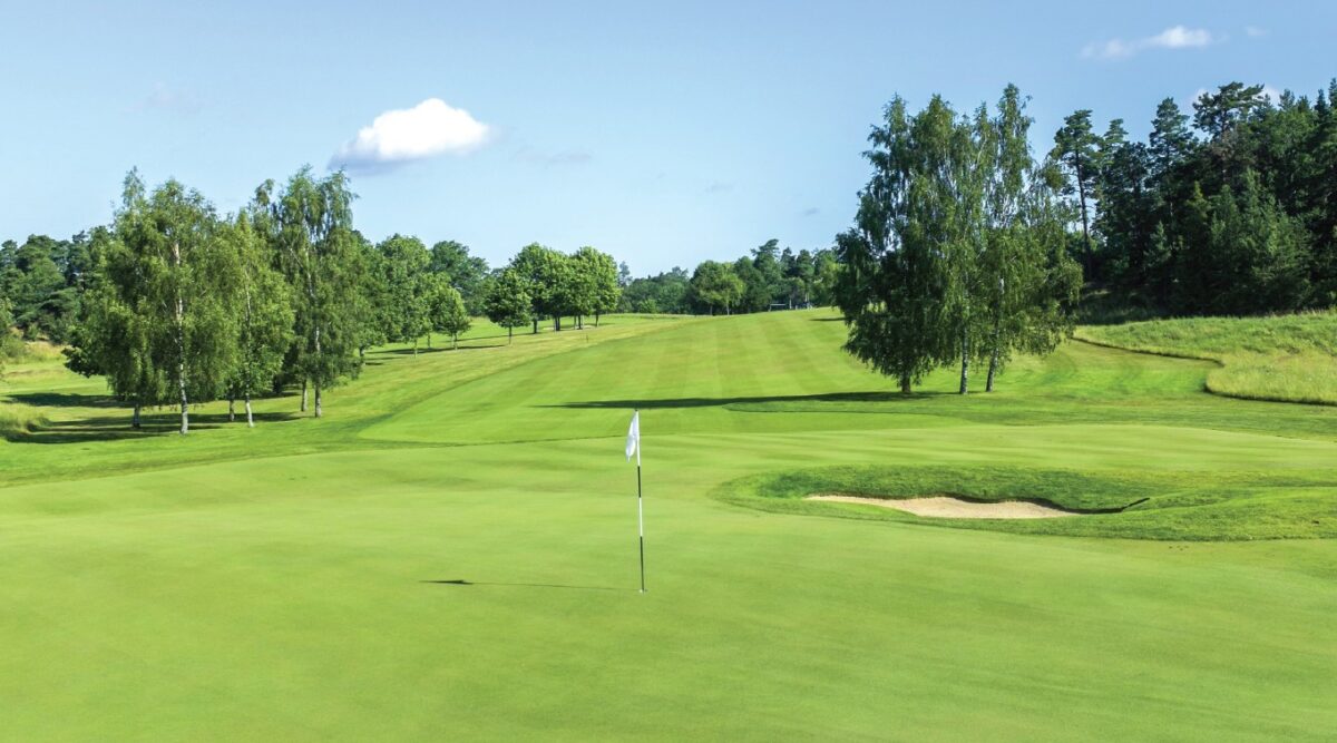 Renforcer les greens de golf en été