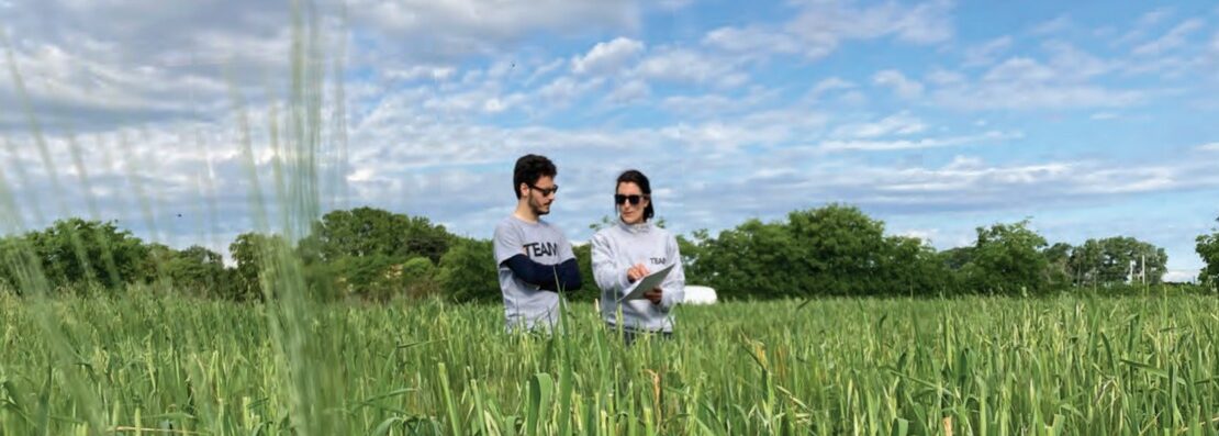 Résultats d’essais biostimulation fertilisation