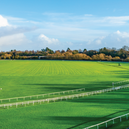 Hippodromes : vers une transition organique