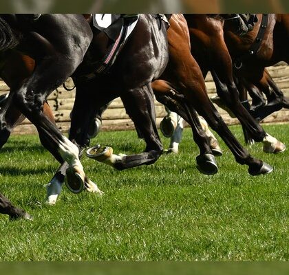 Hippodromes : corriger la teneur en matière organique